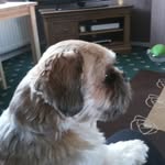 June Todd - @june.todd.79656 - Instagram