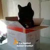 junetodd565 - @junetodd565 - TikTok