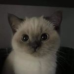 itz_junetz - @junet.ong - Instagram
