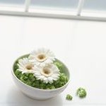 June Tong - @tong_june - Instagram
