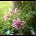 June Townsend - Facebook