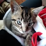 June Treacy - @jost4321 - Instagram
