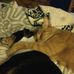 June Truitt - Facebook