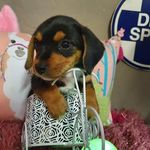 June Wagner - @junewagner4843 - Instagram