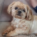 June Waite - @june.waite2601 - Instagram