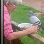 June Wakefield - @june.wakefield.58 - Instagram