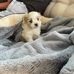 June Watson - Facebook