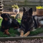 June Watson - @june.watson.5 - Instagram