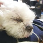 이준서 - @june_west.2 - Instagram
