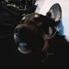 junewest373 - @junewest373 - TikTok