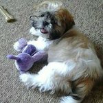 June Whitehead - @whiteheadjune - Instagram