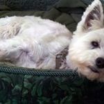 June Whitehead - @j_m_whitehead - Instagram