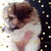 June Whiting - Facebook