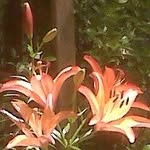 June Ragsdale Whitley - @june.whitley - Instagram
