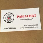 June Whitney - @punyjune - Instagram