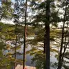 June Williamson Steed - @june.williamson.s - TikTok