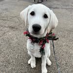 June (Bug) Windsor Canupp - @junieb_goodgirl - Instagram