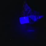 @june_witta.beam - Instagram