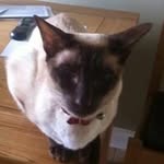 June Bloodworth - @junebloodworth - Instagram