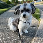 June Worthy - @june_worthy - Instagram