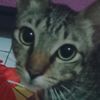 Juned - @junedyeager - TikTok