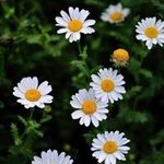 June Yip - @yip.june - Instagram