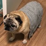 June Yip - @jjjuneyip - Instagram