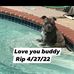 June Yost Godino - Facebook