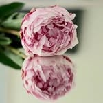 Junehee  Kim - @junehee.kim.3 - Instagram