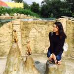 Junehee Kim - @felicejune - Instagram