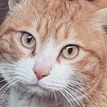 jungahleeeee - @_jungah_lee - Instagram