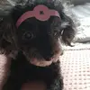 leejungah!!!!! - @leejungah1976 - TikTok