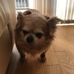 Jungsup - @jungsup_lee0107 - Instagram