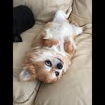 Jungsup Lee - @l.jungsup - Instagram