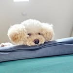 Jungwon Kang - @jkblue79 - Instagram