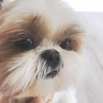 Jungwon Park - @jungwon.park.7921 - Instagram
