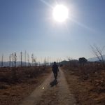 JunHo Kim - @junho_kim21 - Instagram