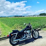 Junichi Sato - @hoiluyaki1206 - Instagram