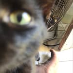 Junior Allen - @juniorbabyallen188 - Instagram