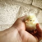 Junior Bean - @bean_junior - Instagram