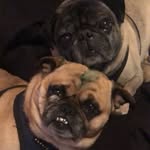 Junior Bean and Maxxie - @jband_maxxie - Instagram