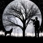 Junior Bond - @bondjun - Instagram