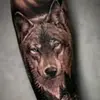 Wolfpack1990 - @juniorbowers685 - TikTok