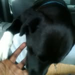 Junior Butler - @juniorbutler5103 - Instagram