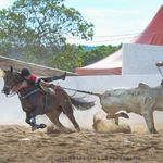 Júnior Cardoso - @juniorcarddoso - Instagram