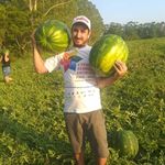 Junior Cardoso Reus - @juniorcardosoreus - Instagram