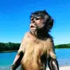 JUNIOR CÁRTER - @juniorcarter - TikTok