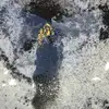 Junior Carter - @junior.carter48 - TikTok