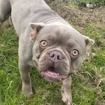Junior Clarke - @junior.clarke.3133719 - Instagram