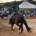 Junin_treinador🏆🔰 - @junior_colen_ - Instagram
